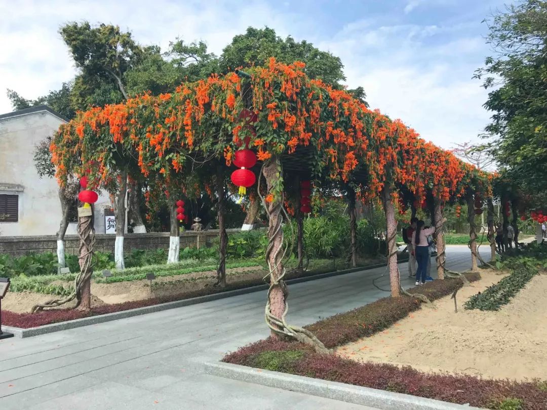 去日本从哪里出发最便宜,去日本从哪出发最便宜