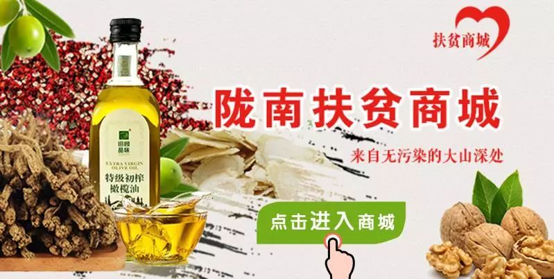 陇南徽县石滩梁倩娟,陇南梁倩娟