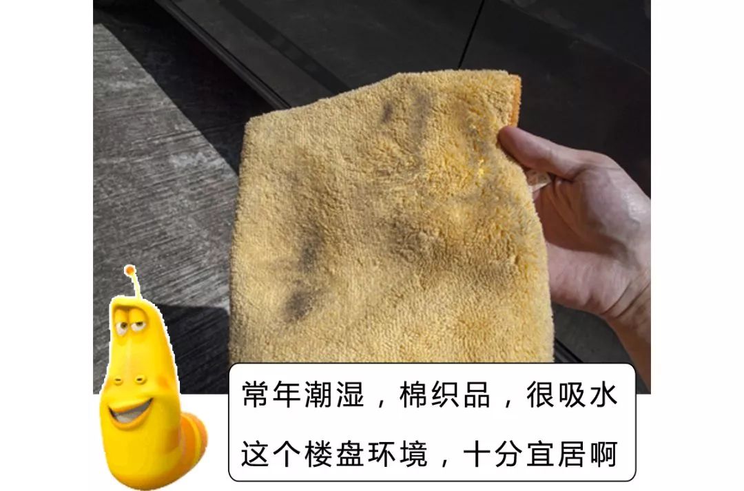 科普|每天轻抚你的面,碰触你的身体对Ta的要求应该高一些!