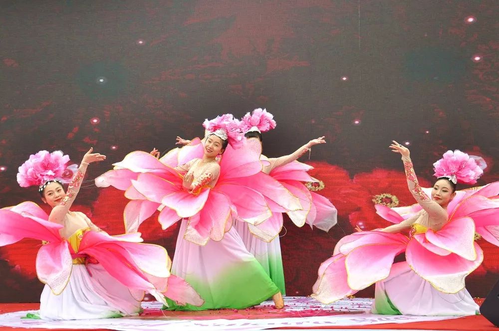 景点打卡石门花海,美哭了景区