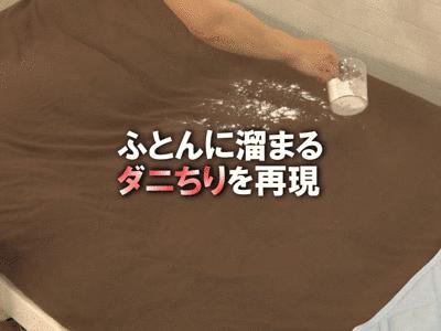 10天不晒被子有多少螨虫,不晒被子紫外线灯可以除螨嘛