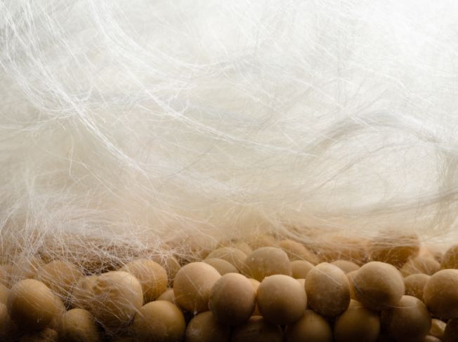 袜元素改善脚部烦恼的防臭抑菌袜,袜元素拯救脚臭的神器