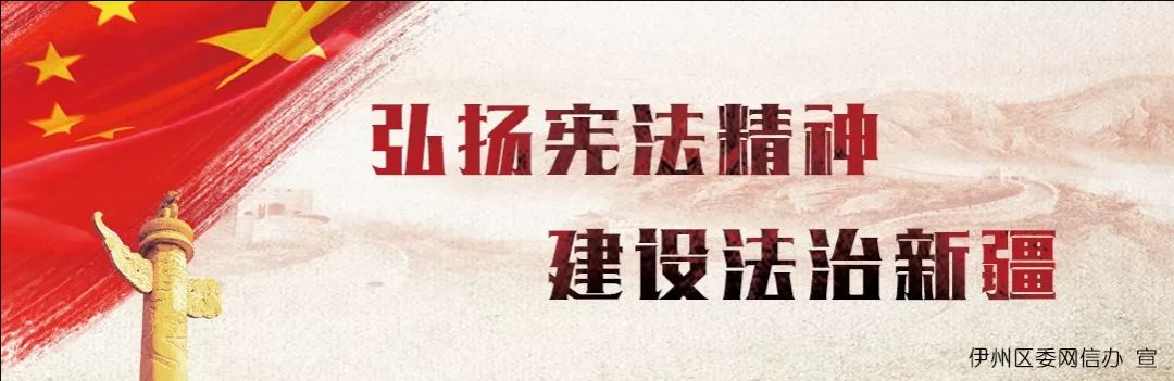 新疆六名足球队员进入国际足球队,六位新疆小伙进入了国家足球队