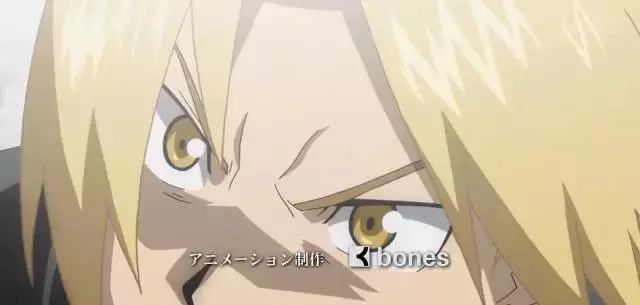 她的《钢炼》明明零差评，为什么还要去养猪？