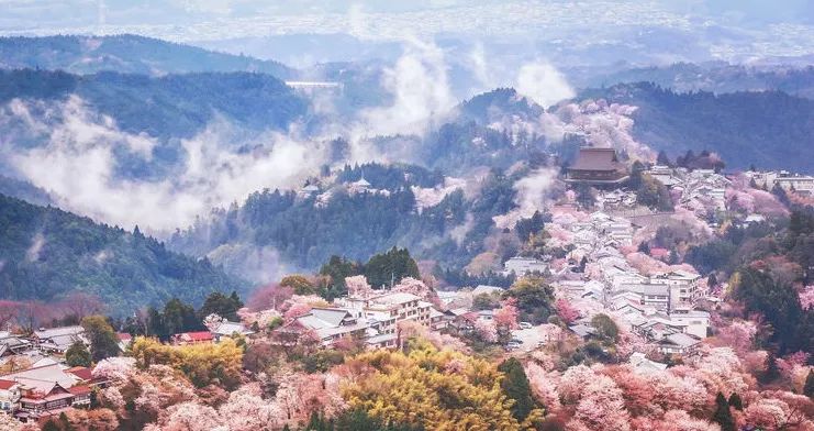 2019年日本樱花季日程表小众赏樱攻略！