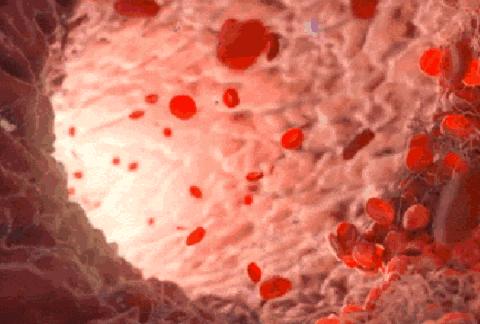 胖姑娘逆袭成模特身材？日本收腹裤，1秒隐藏大肚腩，显瘦20斤