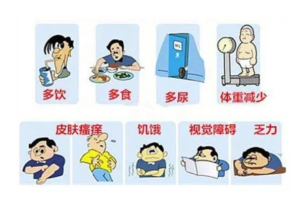 中医代金刚博士防治糖尿病,仝小林中医糖尿病防治指南