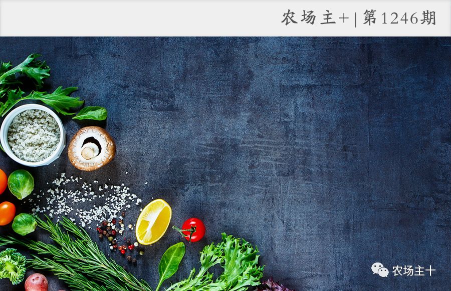 在狂投2.2亿之后,他终于想明白一件事……