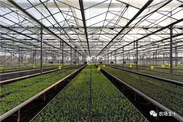 在狂投2.2亿之后,他终于想明白一件事……