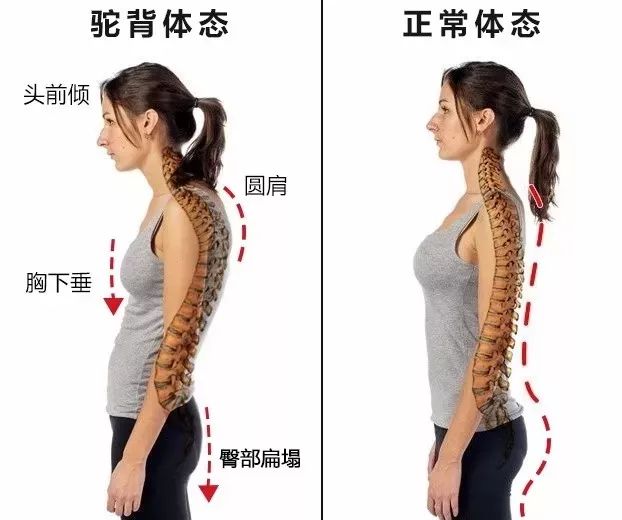 情人节福利,情人节福利秒杀