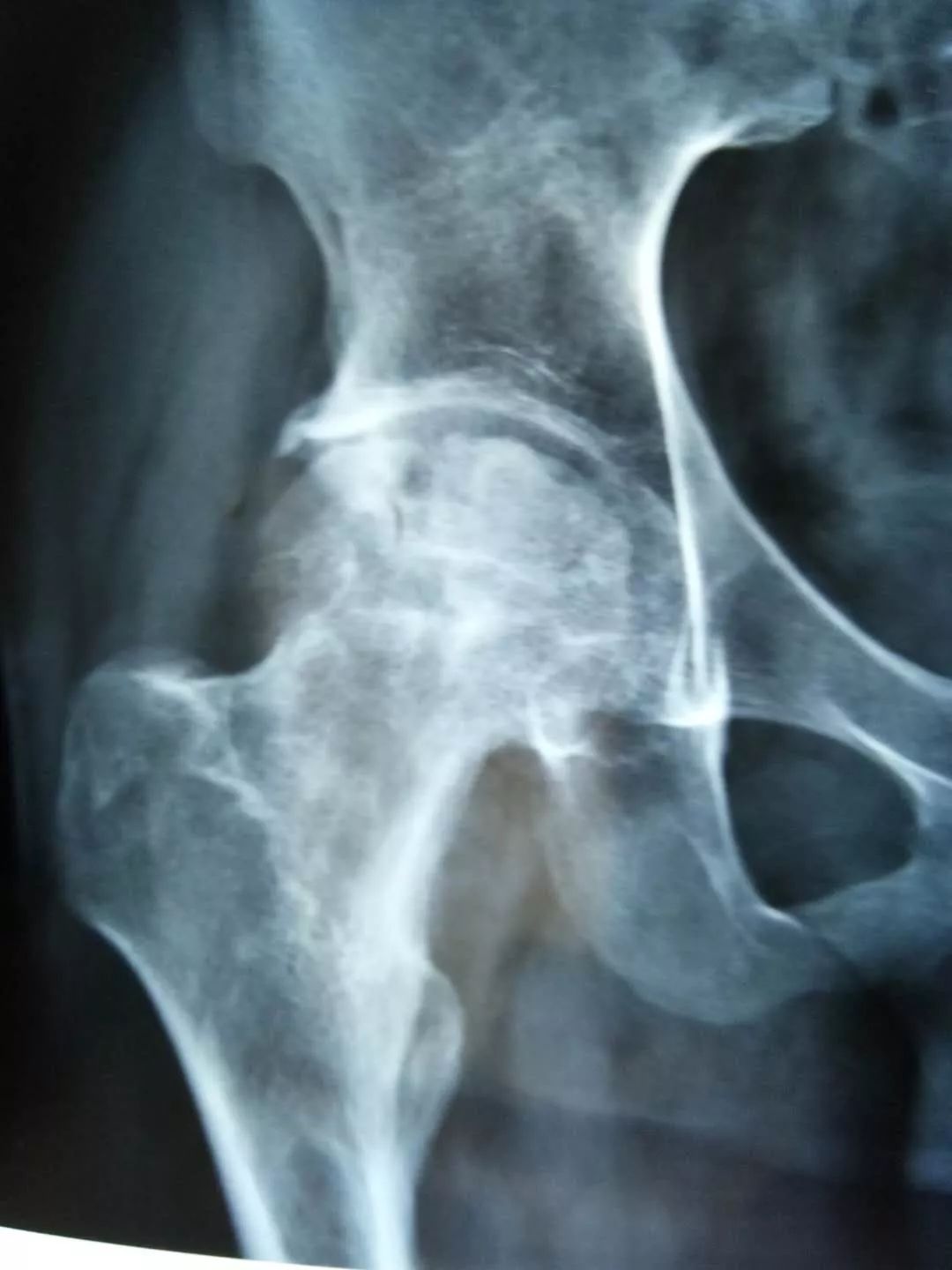 扁圣中医馆怎么样济南,扁圣中医馆在哪里