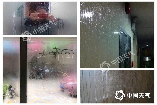 “回南天”杀到南方人的崩溃你不懂