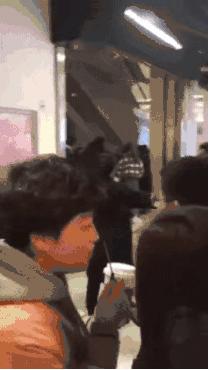 通宵排队，大打出手，10倍炒价……就为了个杯子？！网友：魔怔了