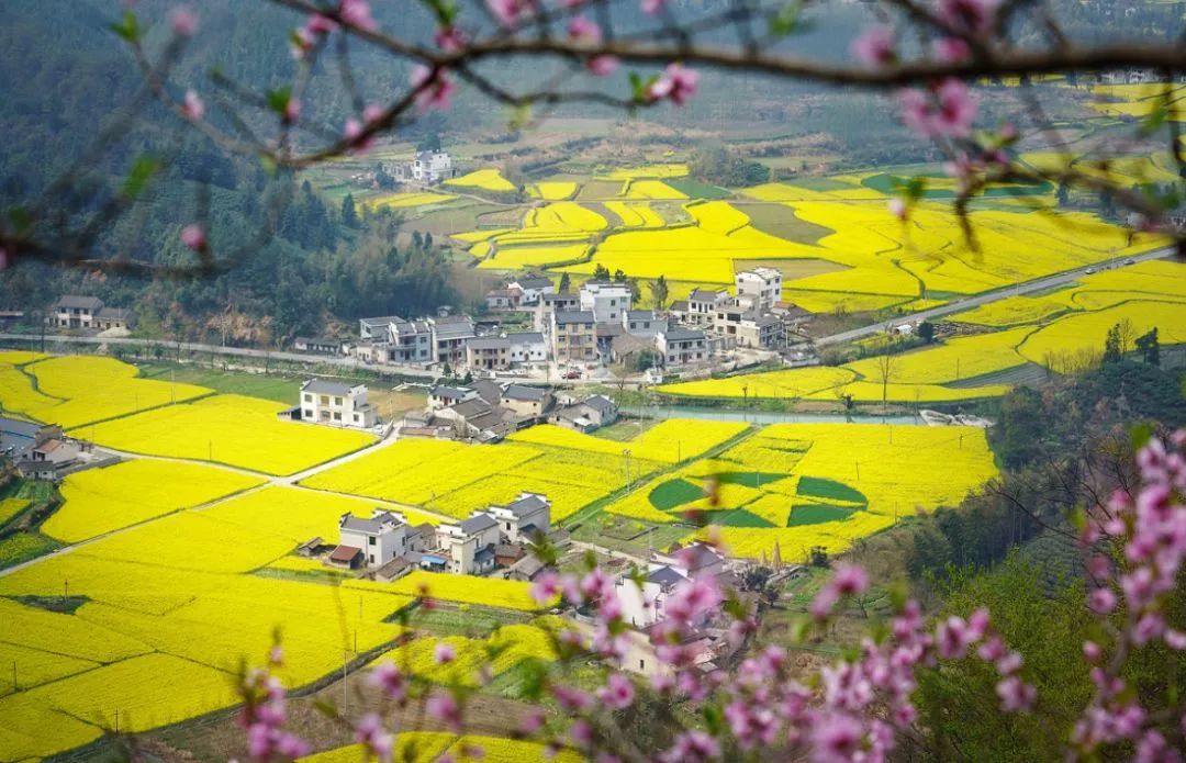 这家扎根在花海的悦榕庄即将迎来暖意春天！千元直降还含SPA,高铁1.5h!