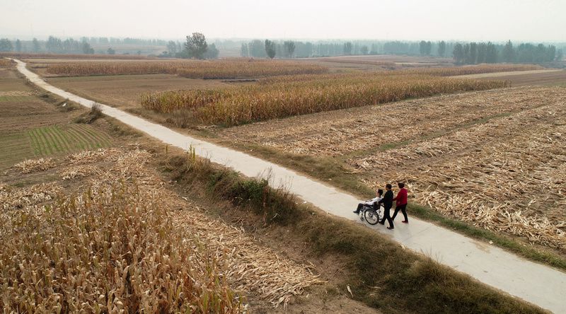 临沂乡村教师自学中医苦练医术为子续命
