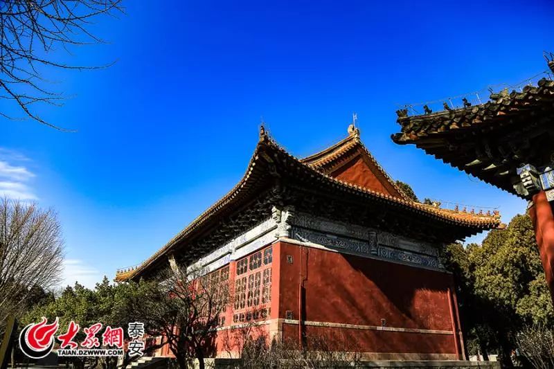 泰山山东景区门票降价,泰山景区门票优惠政策