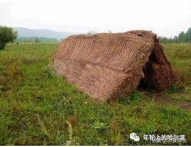 哈尔滨杨马架子前世今生,尘封的往事完整视频