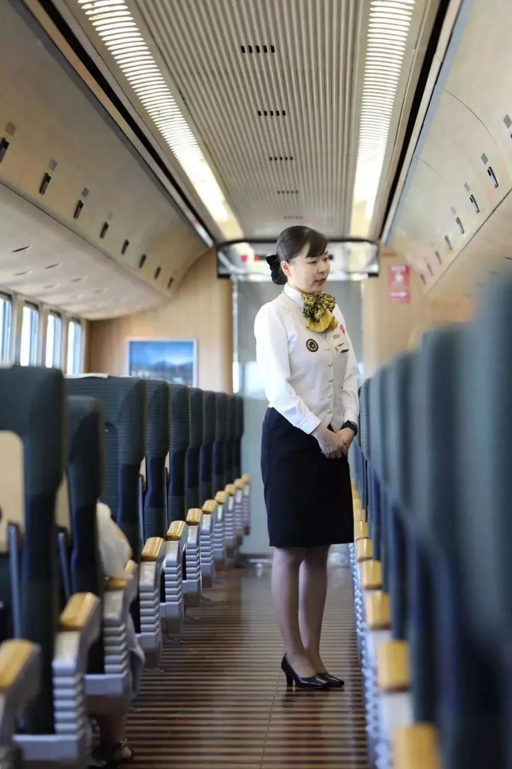 九州福冈樱花,九州樱花季旅游