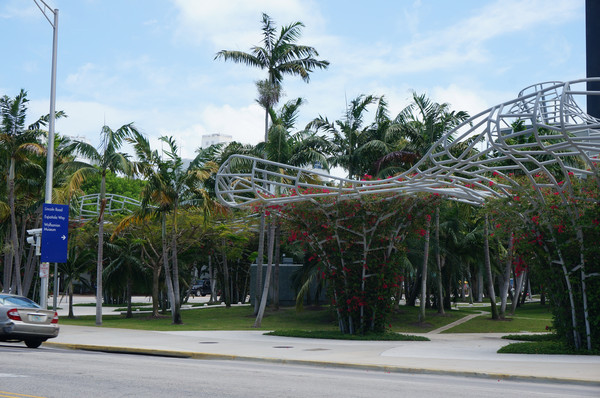 老人旅行欧洲,12位老人游上海