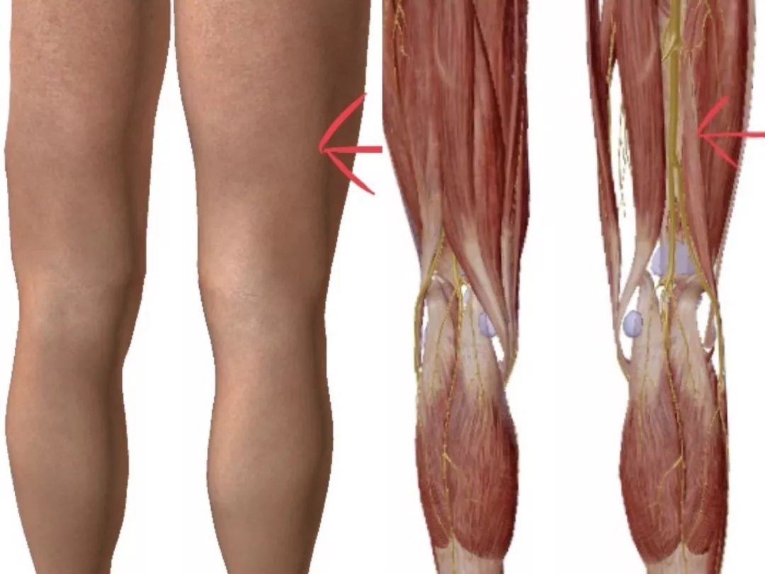 神经阻滞针打一针和打三针的区别,神经阻滞打一针多少钱