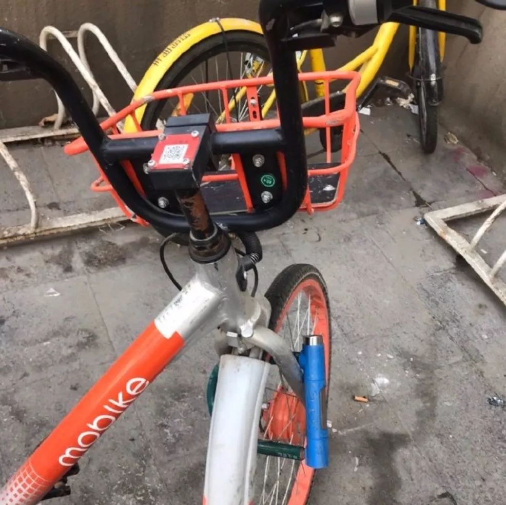 小蓝、小橙，你咋变成小黑了？网友：骑出去你也不嫌鬊！