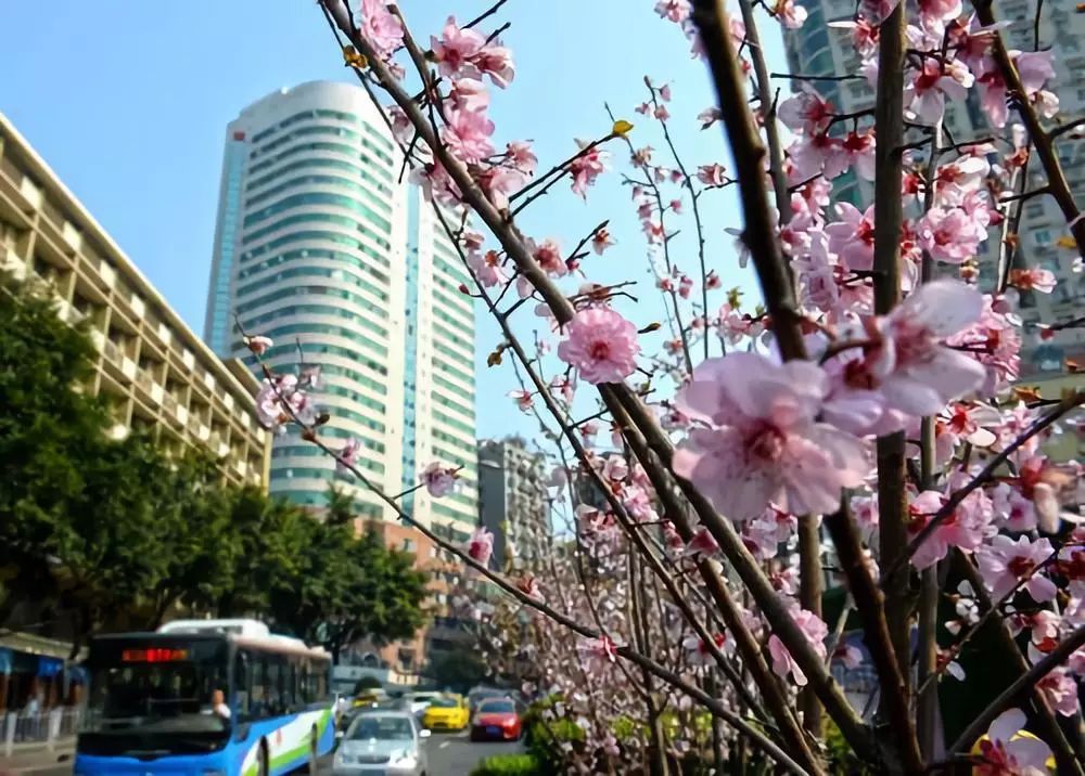 两路口、李子坝、白市驿……重庆主城173个地名背后故事“摆”给你听