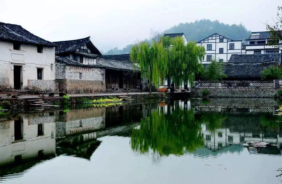 恰逢二月二，抬头见喜！女王节楠溪江免费、优惠信息全在这儿了！