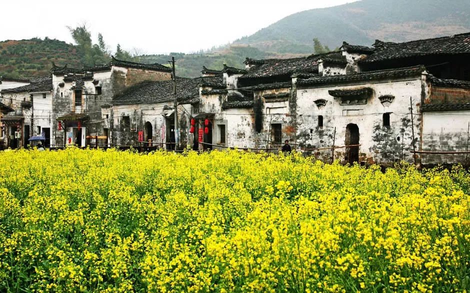 江西婺源写生基地一览花海酒店,来婺源住哪里好