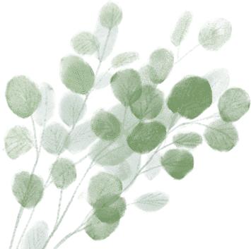 枫桥夜泊望庐山瀑布古诗,晚泊浔阳望庐山古诗