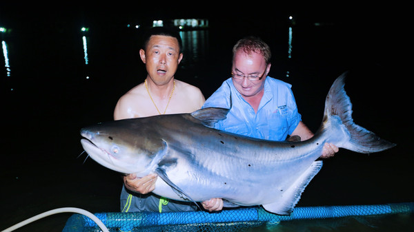 泰国艾克索公园巨物钓场,泰国巨物池钓鱼费用