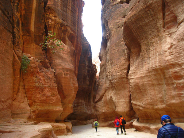 约旦佩特拉古城的介绍,约旦佩特拉古城完整版