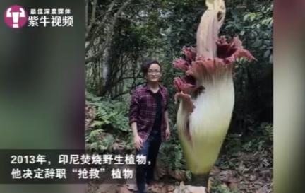 工科男成了“水果猎人”自掏数十万满世界找奇特水果