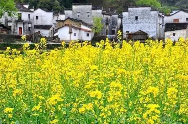 干货！旅行线路看这一篇就够了！