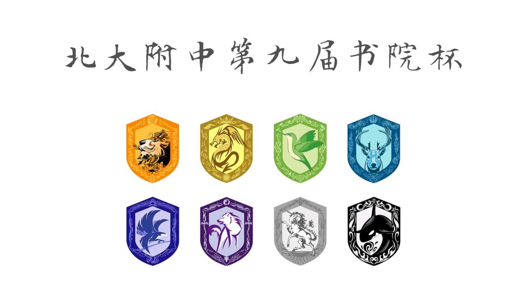 全国体院杯足球赛女足,北大女足足球队