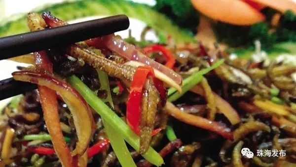 定了！石家庄将首开至珠海、嘉兴方向高铁，一路都是好风景