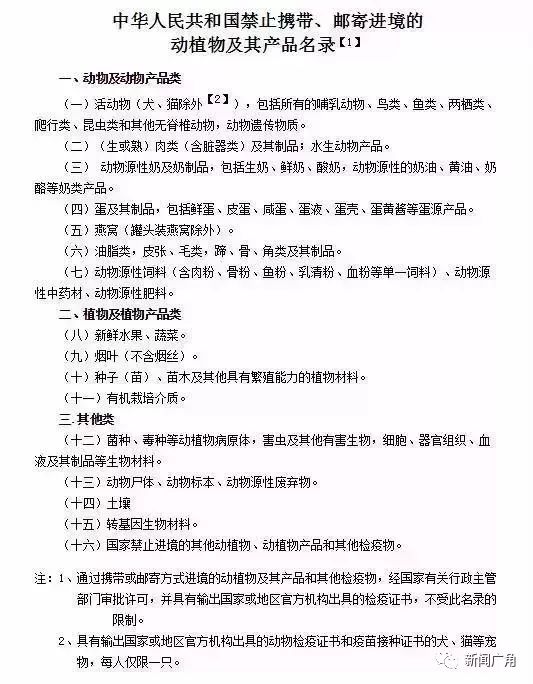 去香港要注意哪些会罚款,广西人去香港