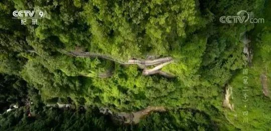 兰州到重庆绿巨人动车组,兰州到甘谷绿巨人通车最新时间