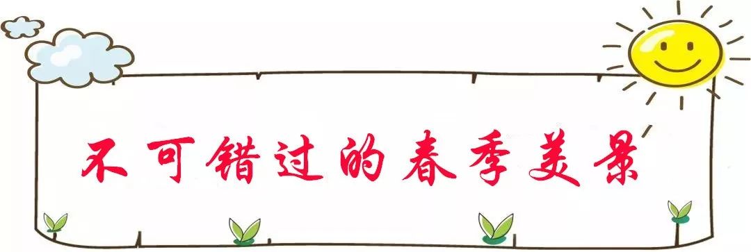 上海人春天爱吃的美食,春天上海最好吃的东西