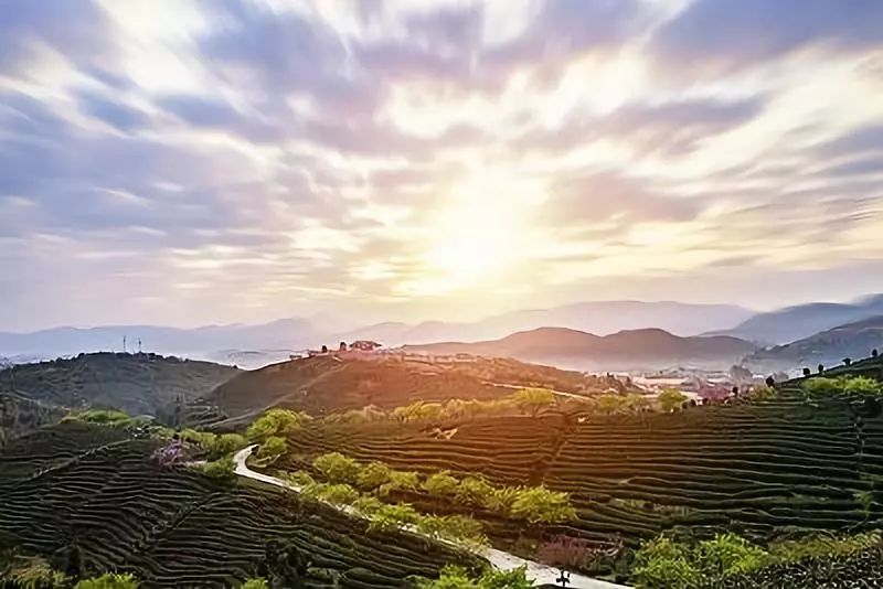 欣赏一个人始于颜值久于善良人品,美文始于颜值陷于才华忠于人品