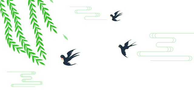 关注儿童体检,关注小学生体质健康综合实践活动