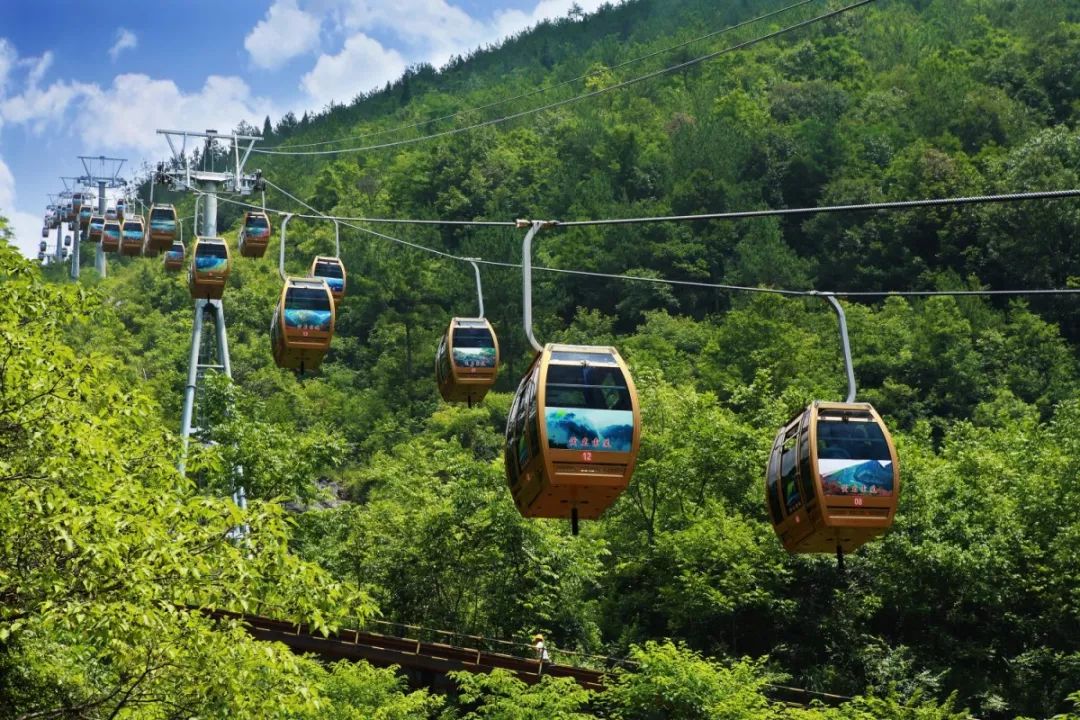 “三八”节，女神们快来领这些专属福利哦