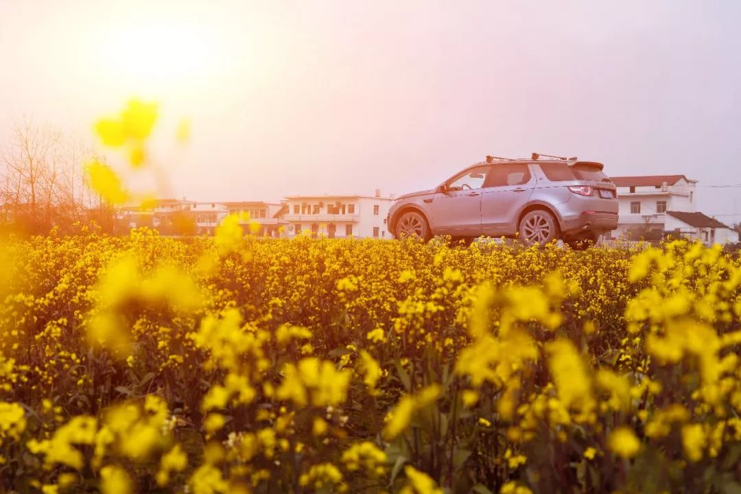 闃冲拰鍚洶鍝佺墿鐨嗘槬涓嬪彞,鎯婅洶杩庝徊鏄ヤ竾鐗╂惡绂忔潵