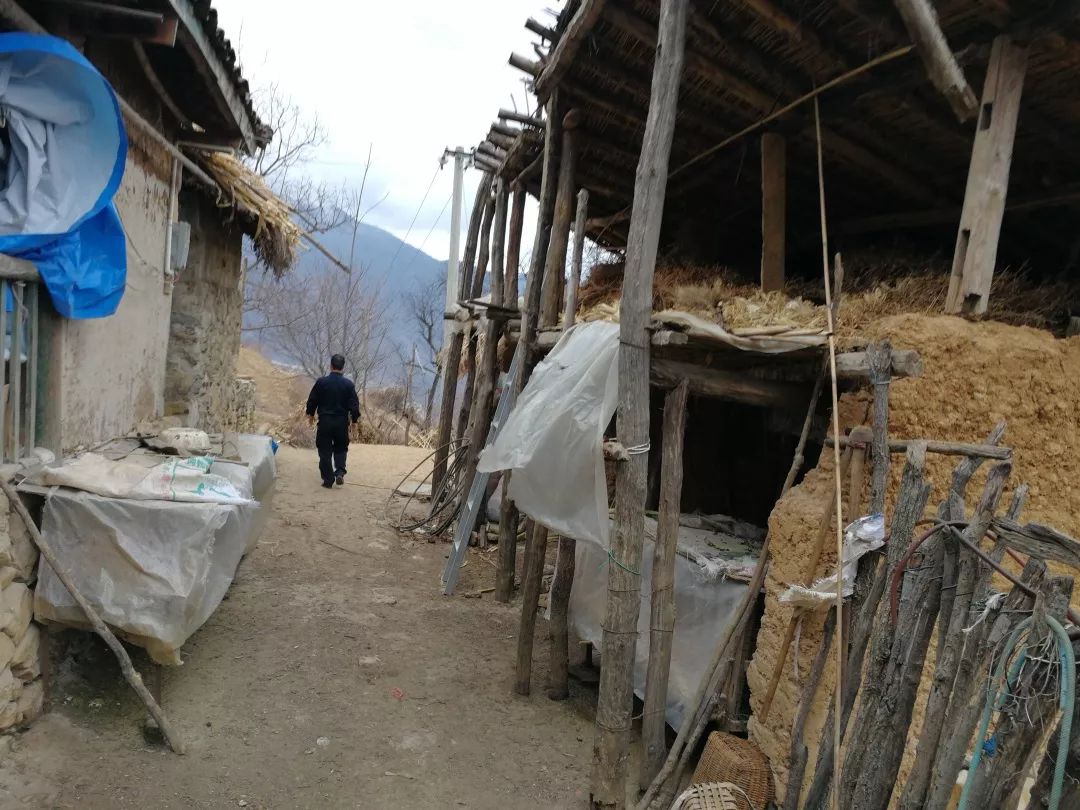 扶贫进行时——从“三大新变化”看成都病犯监狱扶贫之路