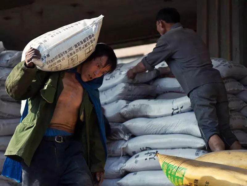 香港最美搬运工罗拉结婚没,香港最美搬运工罗拉