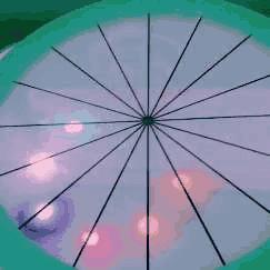 中国流动科技馆从化,中国科技馆最佳参观线路图