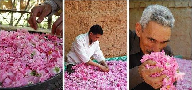 护肤小红书都在推荐的安瓶面膜,护肤补水推荐小红书