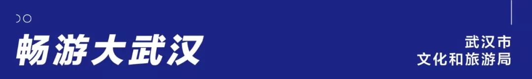 来武汉读书第一年,来武汉上大学的理由