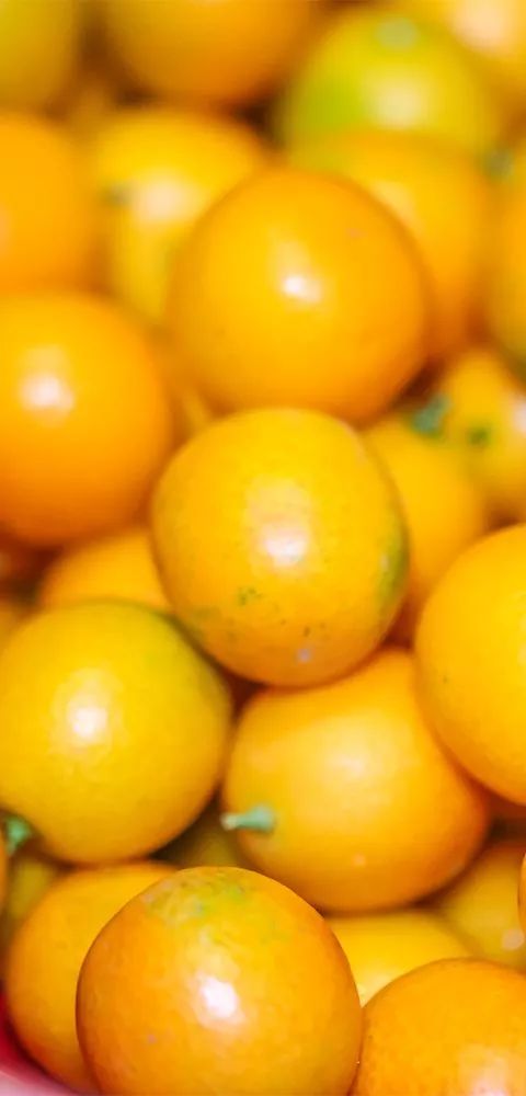 深圳龙岗美食券抢购,龙岗附近的海鲜自助餐59元一位