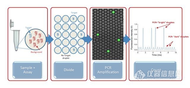 一文快速入门graphql,数字pcr原理图解