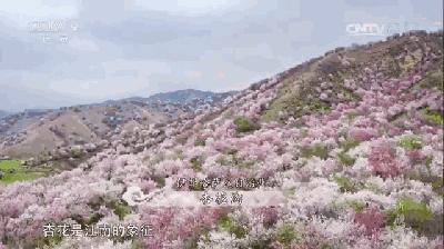 广州市增城区乡村风景图片,增城美丽乡村图